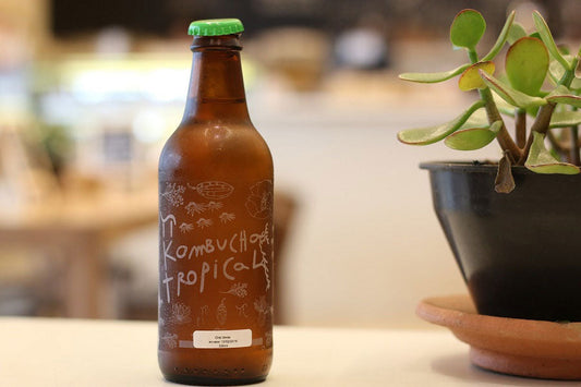Kombucha - A Peek Into This Unique Concoction